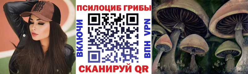 Псилоцибиновые грибы GOLDEN TEACHER  МЕГА как войти  Хилок 